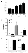 The β1-activating antibody 8A2 induces monocyte binding and surface express