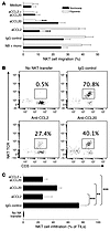 CCL20 is required for NKT cell migration toward hypoxic NB and monocyte cul