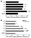 NKT cell viability and function are inhibited by hypoxia and protected by c