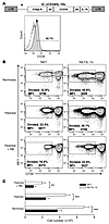 Transgenic expression of IL-15 in NKT cells protects them from hypoxia.