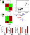 GD2+ and CD44hiCD24lo cells have a similar gene signature.