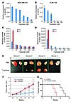 Triptolide inhibits the expression of GD3S, induces apoptosis in MDA-MB-231