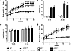 Body weight is modestly reduced only in male LeprloxTB × POMC-cre mice afte