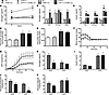 Inappropriate plasma glucagon levels are corrected in LeprloxTB × POMC-cre