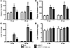 Selective reactivation of LEPR expression in POMC neurons improves the lipi