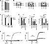 Expression of STIM1, Orai1, and Orai3 proteins and implication of Orai chan