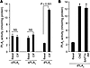 Effect of CIF, CMZ, or BAPTA on PLA2 activity in CD36-positive TBCs.