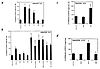 Expression of the 1600eNOS promoter is induced by myocyte-derived signaling