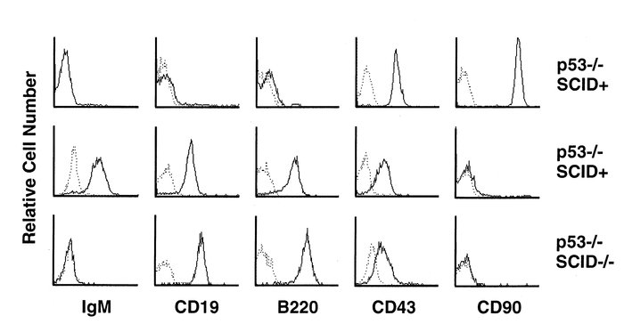 Flow cytometric analysis of primary tumor cells from lymphomas arising i...