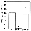 Basal PGE2 concentration in unstimulated colonic tissues from WT and COX-1–