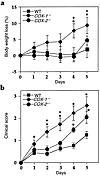 Body weight loss (a) and clinical score (b) induced by low-dose (2.5%) DSS