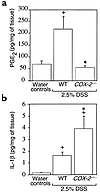 PGE2 levels (a) and IL-1β levels (b) in 24-hour culture supernatants of col