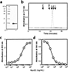 Oligomeric state and bioactivity of bacterially produced soluble human Apo2