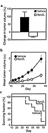 Effect of Apo2L on growth of established HCT116 tumors and on survival. (a)