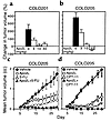 Effect of Apo2L on growth of established COLO205 tumors. (a and b) Nude mic