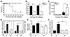 GRdim/dim mice are hypersensitive to TNF lethality and cannot induce MKP1.