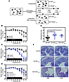 The absence of NOD2/RIP2 confers a transmissible risk for colitis, even to