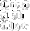 FLVCR1b overexpression increases intracellular heme content, while its sile