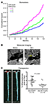 Translational applications of OSE Abs.