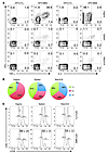 HPV Ivag prime/boost immunization induces polyfunctional CD8+ T cells with