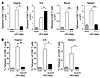 Primary CD8+ T cell responses are induced in the ILN and are abrogated in t