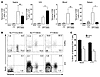 Memory CD8+ T lymphocytes can expand locally in the vagina upon booster Iva