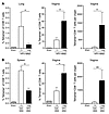 HPV Ivag prime/boost immunization preferentially induces genital CD8+ T lym