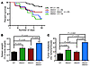 ALKBH proteins are protective against AOM/DSS-mediated carcinogenesis.