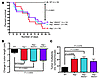 Aag–/–, Aag–/–Alkbh2–/–, and Aag–/–Alkbh3–/– mice all exhibit increased sus