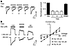 TXA inhibition of glycine receptors is not use or voltage dependent.