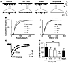 TXA inhibits glycinergic mIPSCs at higher concentrations.