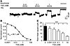 TXA, at clinical concentrations, inhibits current evoked by low concentrati