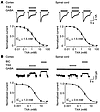 TXA inhibits currents evoked by high and low concentrations of GABA in cort