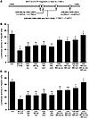 MAT1A 3′ UTR-driven reporter activity and the effect of mutating miRNA bind