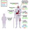 Anticipated effect of isoform-specific sirtuin activation on various age-re