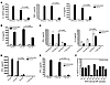 Apoptotic MPs inhibit TLR-stimulated DC function.