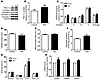 NP increases mitochondrial oxidative metabolism in human primary myotubes.