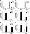 Hypoxia augments crosstalk between BCCs and MSCs by promoting CXCL10-CXCR3