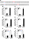 CXCR3 is a HIF-1 target gene.