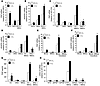 HIF regulates PGF and VEGFR1 expression and facilitates bidirectional signa