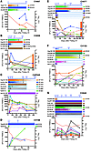 HIV-1–specific CD8 T cell kinetics.