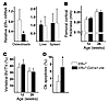 Deletion of ERα in Col1a1-cre–expressing cells does not alter bone mass.