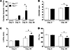 Cardiac injury and function in Par1+/+ and Par1–/– mice after CVB3 infectio