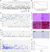 Tumor and sequencing characteristics.