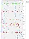 Integrative analysis of genomic alterations in SI-NET.