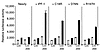 Analysis of the transcriptional activation of the insulin gene in Nes2y cel