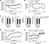 Disruption of TMEM16A in blood vessels decreases mean arterial blood pressu