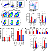 Type I IFN signaling directly mediates systemic activation of splenic cDCs