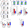 Type I IFN signaling suppresses in vivo Th1 responses independently of CD8+