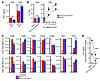 Type I IFN signaling in cDCs impairs Th1 priming by CD8– cDCs ex vivo.